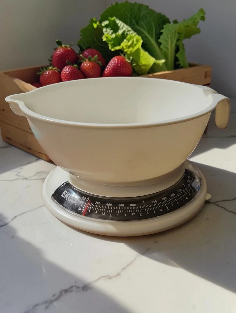 NWT EKCO 5 lb 2 kg Mechanical Kitchen Food Scale White Analog Countertop
